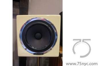 Enlarged view of image